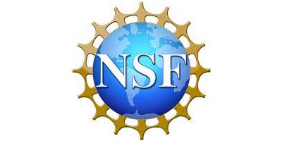 nsf-logo-list.jpg